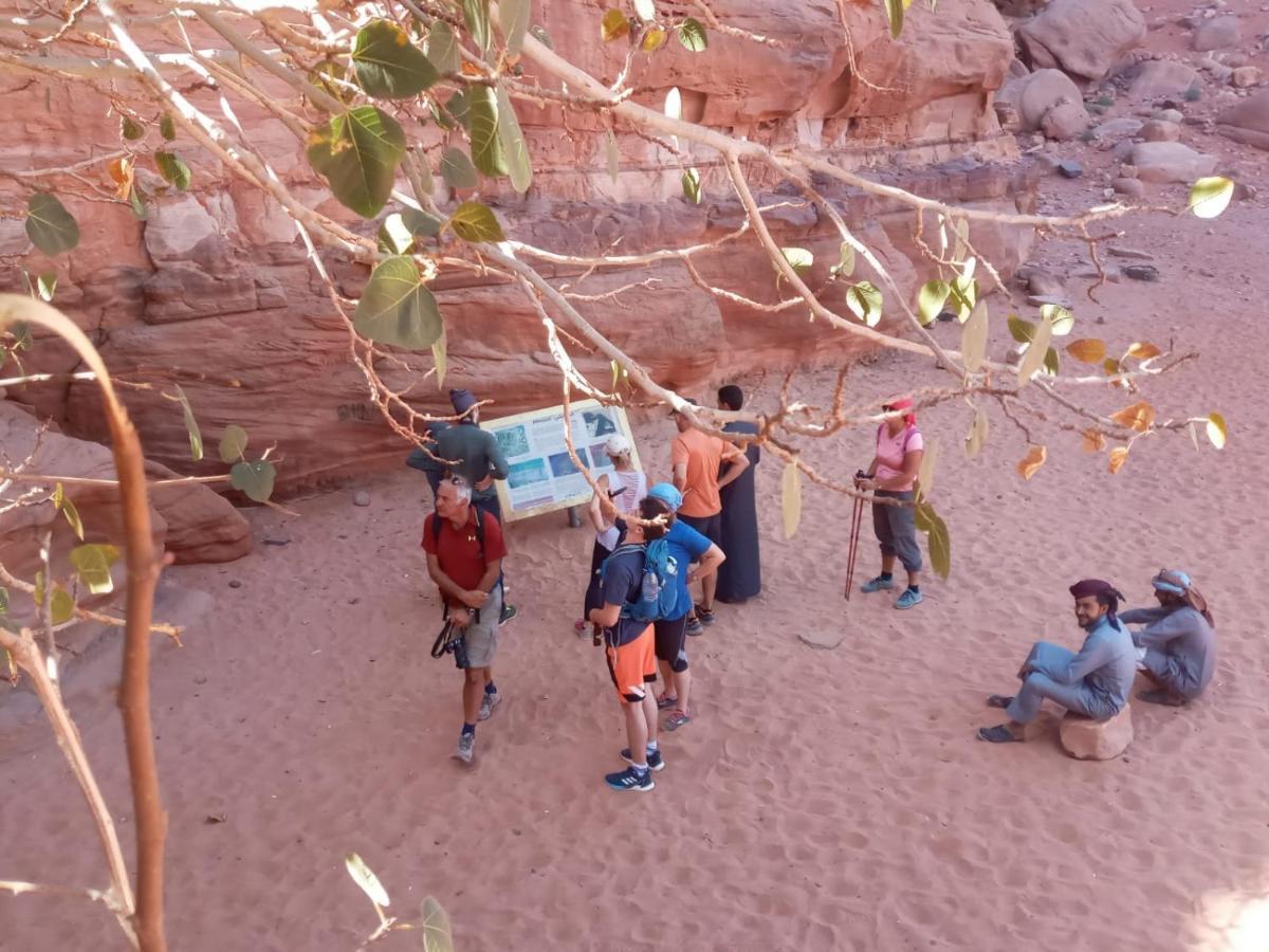 Готель Bedouin Future Camp Ваді-Рам Екстер'єр фото