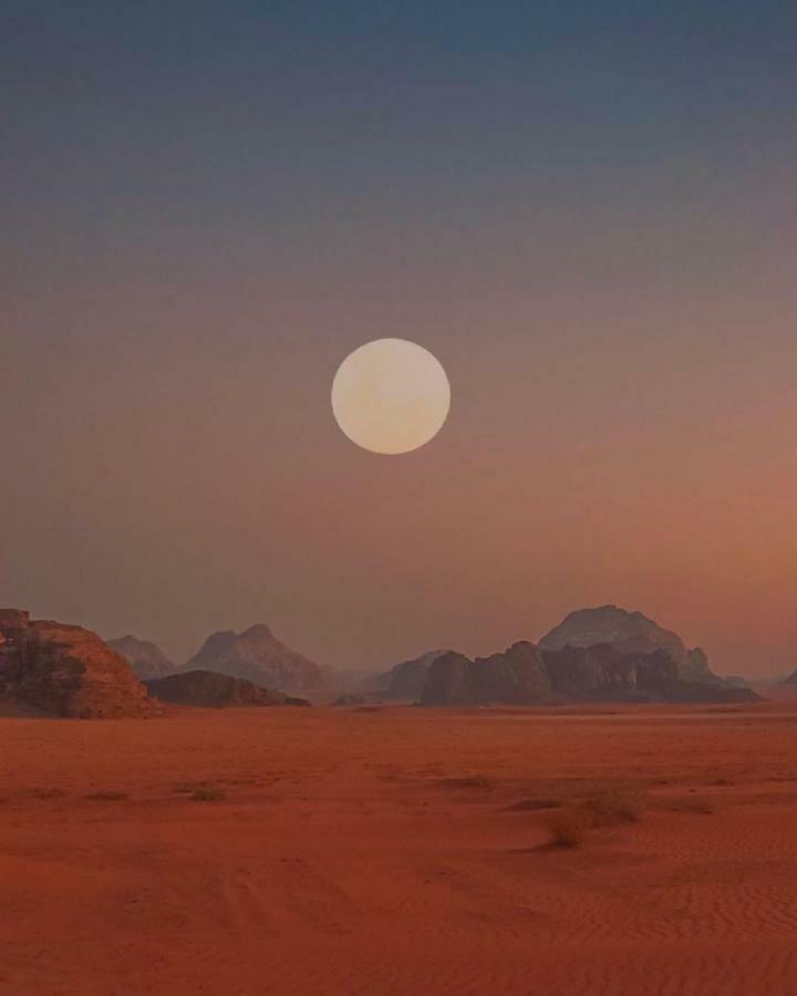 Готель Bedouin Future Camp Ваді-Рам Екстер'єр фото